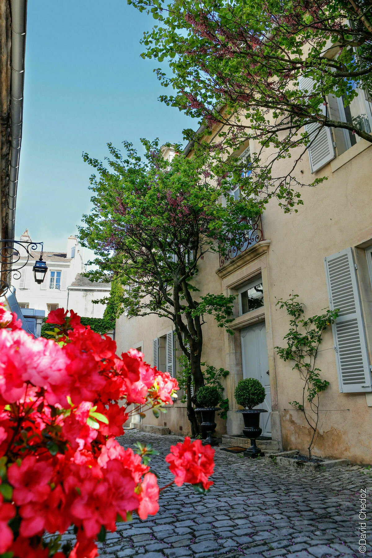 La Cour Berbisey - Teritoria 2* Dijon