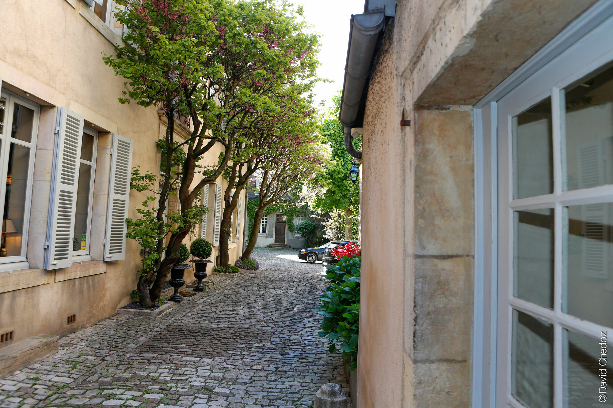 La Cour Berbisey - Teritoria Guest house 2*